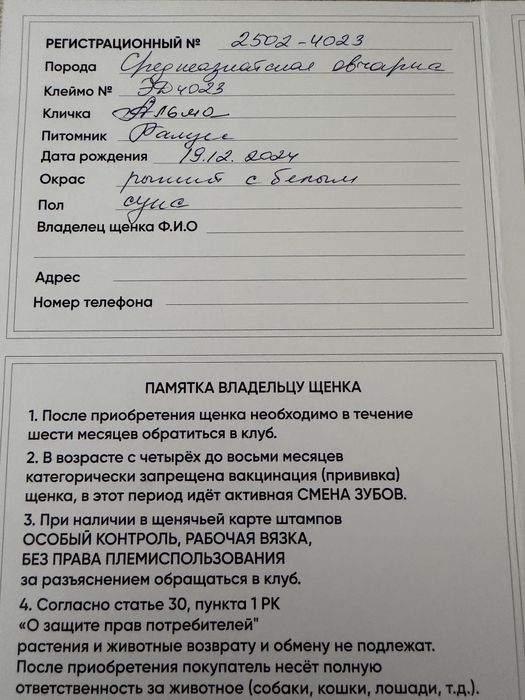 Среднеазиатская овчарка