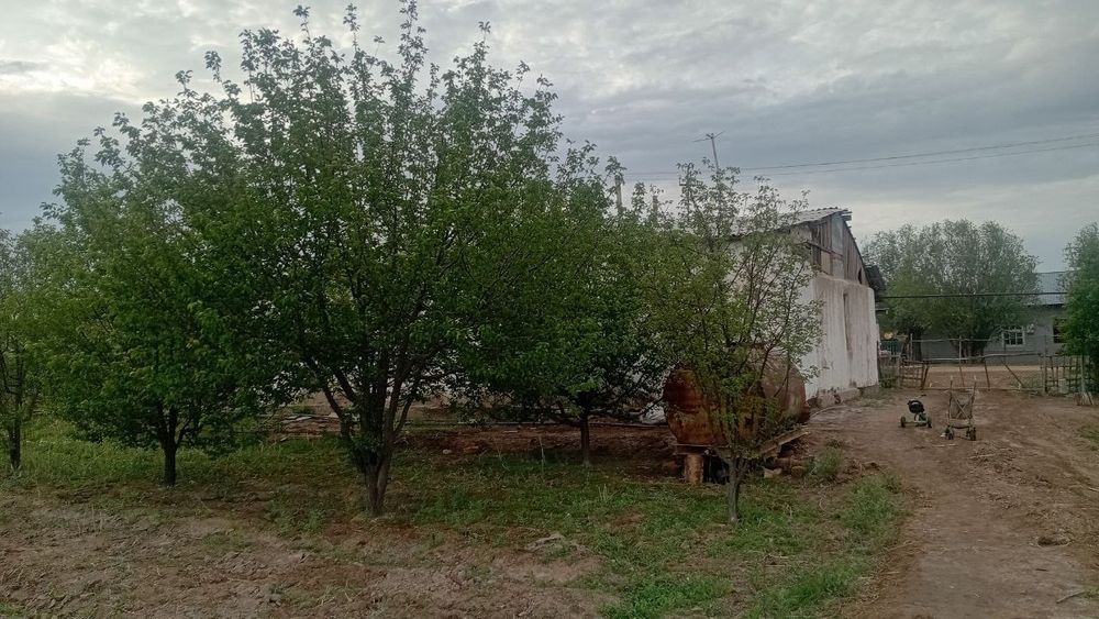 Үй сатылады жаксы жерде жайласқан