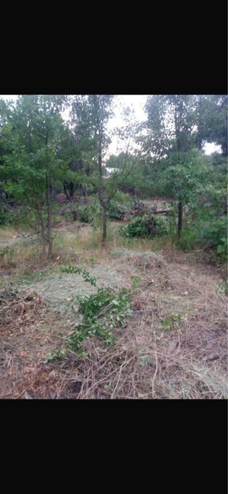 Дача Енбекшиказахский район