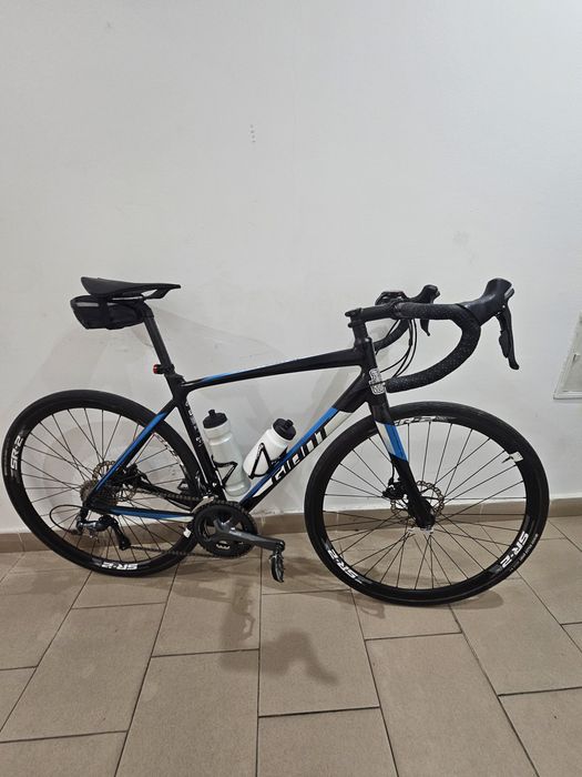 Cursiera Giant Contend 2