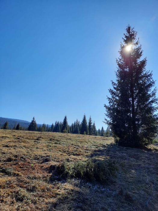 Vand parcele de 1375 si 1415 mp  la Belis aproape de lac