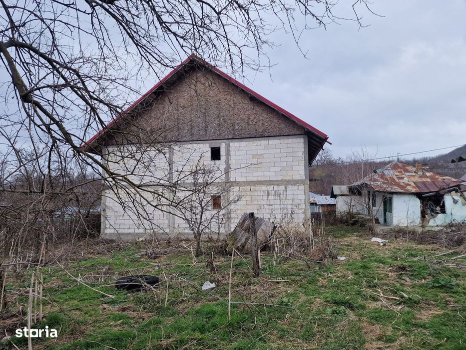 Casa Vladia/ Dragomirești jud Vaslui