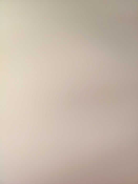 Два големи заека