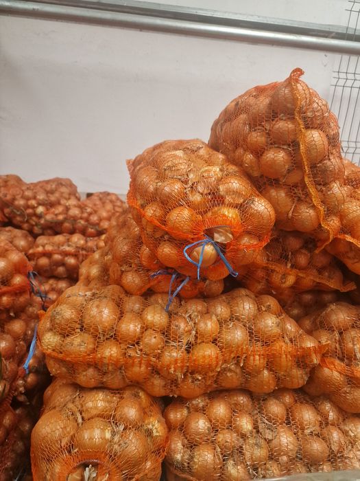 Ceapa romania calitate I