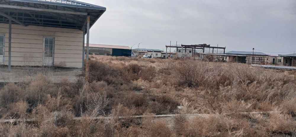 Но Турар бино ЭКО бозор да срочно сотилади .