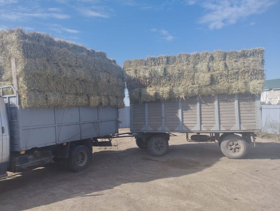 Грузовик Валдай. Валдай с прицепом.