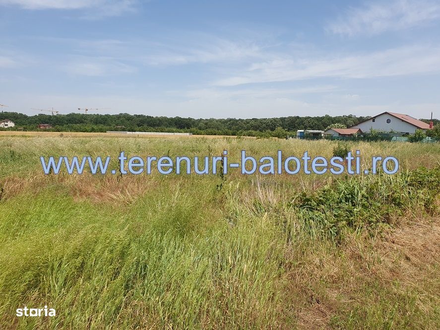 Teren Balotesti, 500 mp, 19500 euro,zona padure Edenland