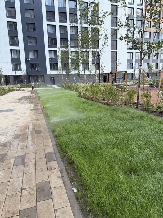 Кустарники, деревья, газон