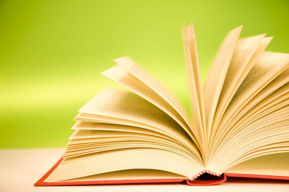 Meditații la limba și literatura română 100 ron/2 ore