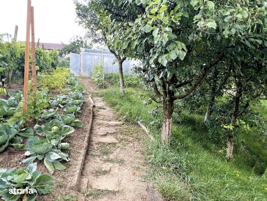 Vanzare casa in Sona