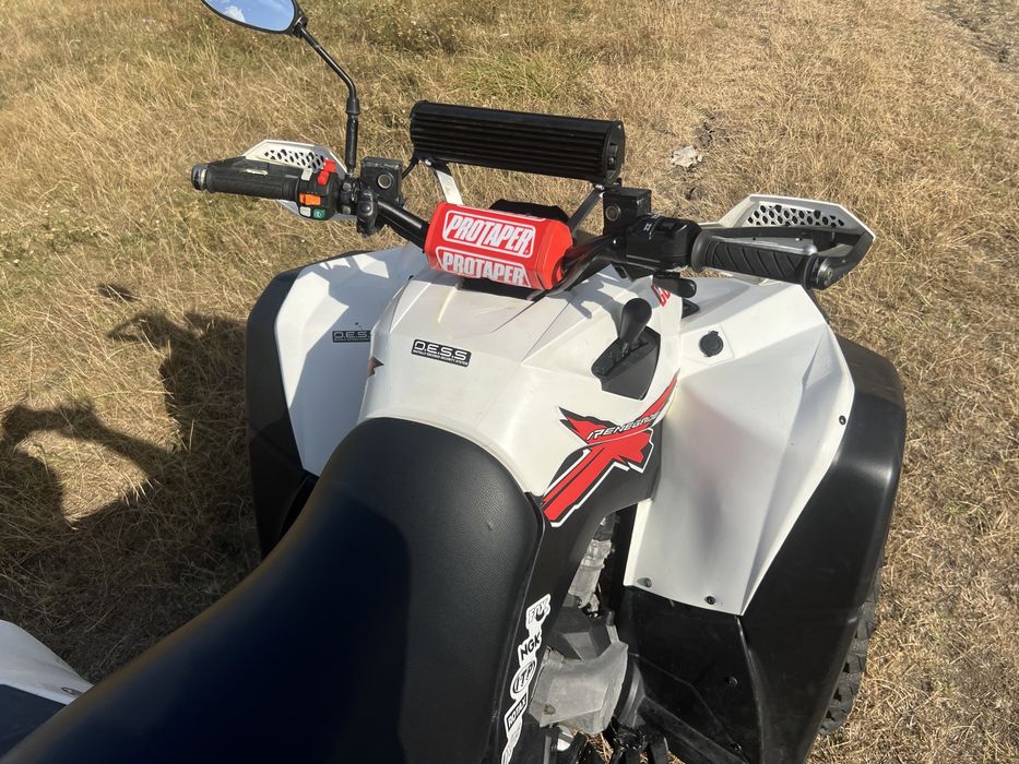 Can am renegade xxc