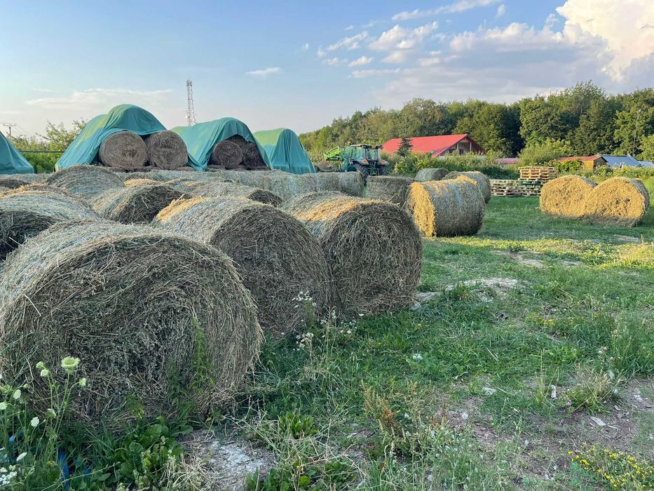 Baloti lucerna eco uscata sau infoliatia (semifân) pret/kg