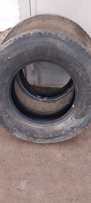 Продам шины  Родакс