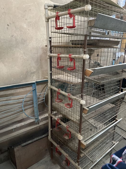 Стеллаж- клетка для перепелов