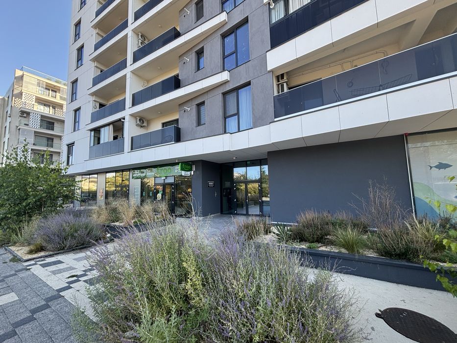 Aviatorii Residence Park , Open Space Apartment, First Rent