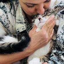 Коте Рио търси своя дом