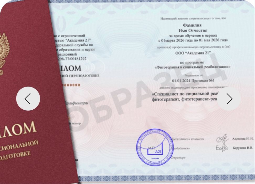 Колледж фармация дистанционно
