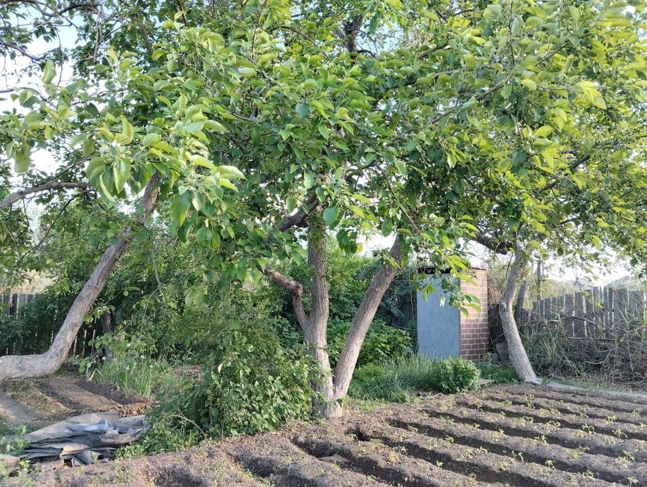 Продам дачу на БАМе г.Сатпаев