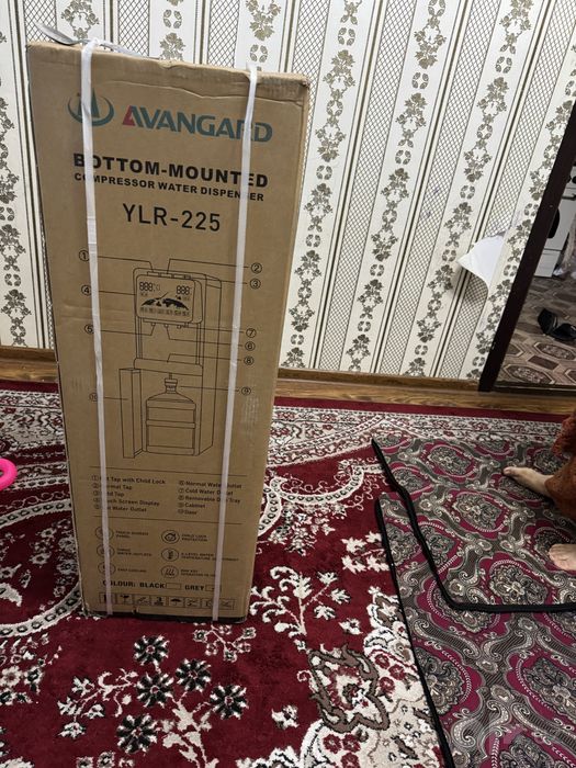 Avangard  senrorli kuller displeyli