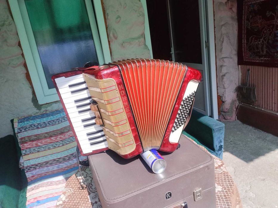 Acordeon Hohner Student 48