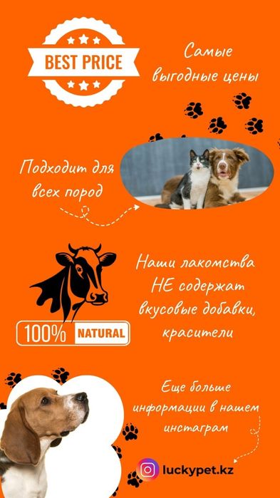 Лакомства для собак и кошек