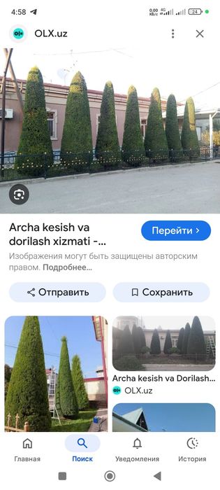 Archa kesish xizmati.