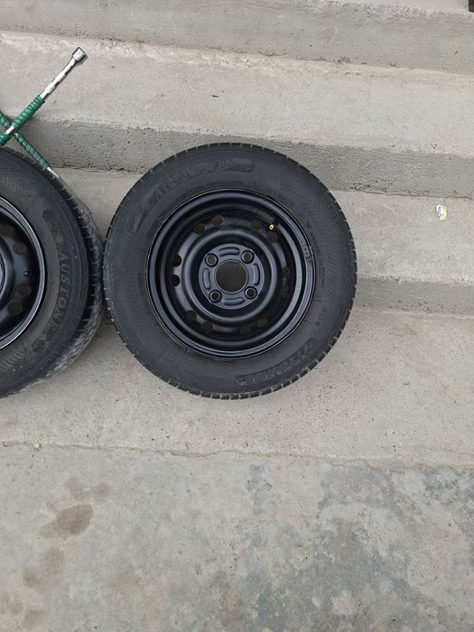 Diska balon 13 damas laboga