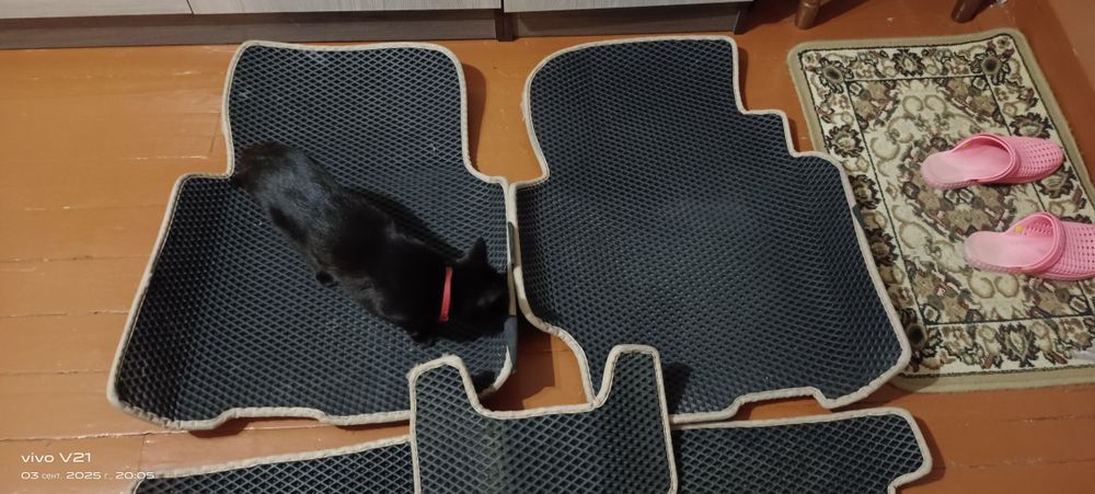 Продам Ева полики