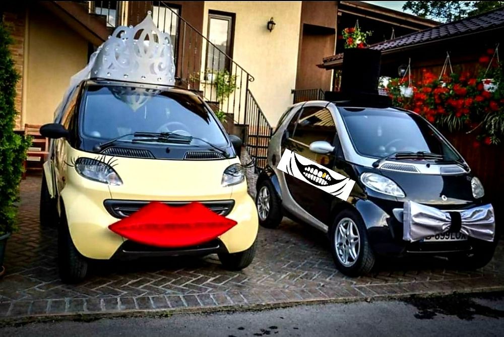 Vand decoratiuni gigant masini nunta