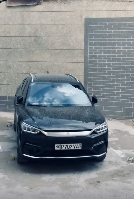 Byd song plus electro