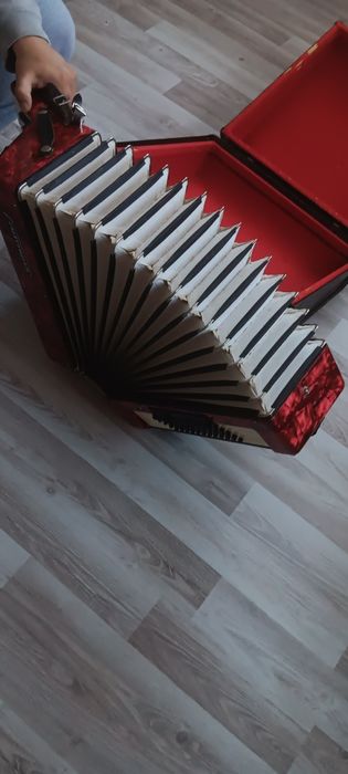 weltmeister stella 60 bass