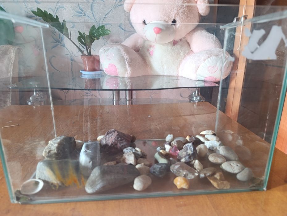 Продам аквариум . На 10 литров.