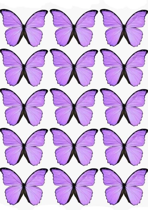 Kapalak buket listlari