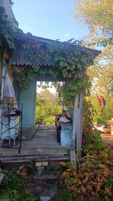 Продам дачу, общество Борки