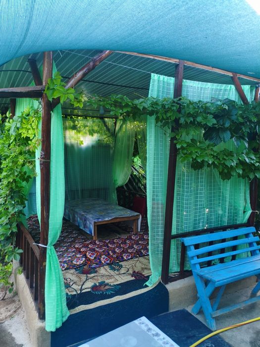#Humsonda Dacha N1