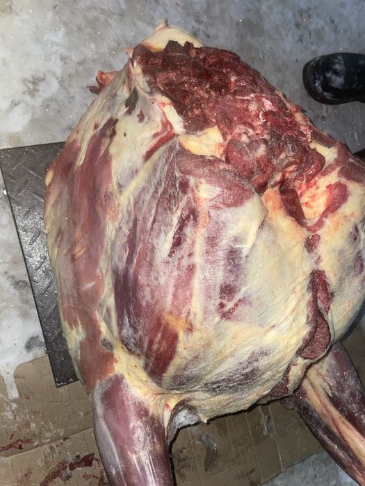 Соғым. Жабағы еті. Семейден келді.