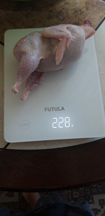Продается мясо перепелов