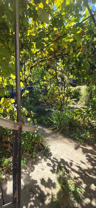 Продава се Къща в с. Студена, Област Перник - 80 кв.м за 1000 €/кв.м - Снимка #23