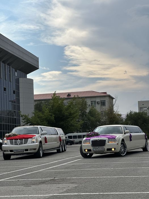 Лимузин кортеж