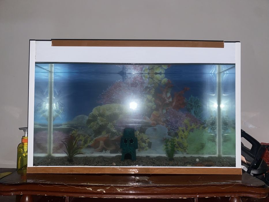 Аквариум с рыбками