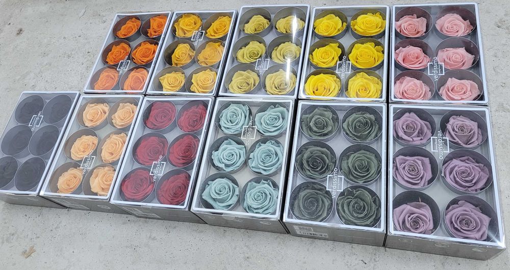 Set 6 trandafiri stabilizați Verdissimo