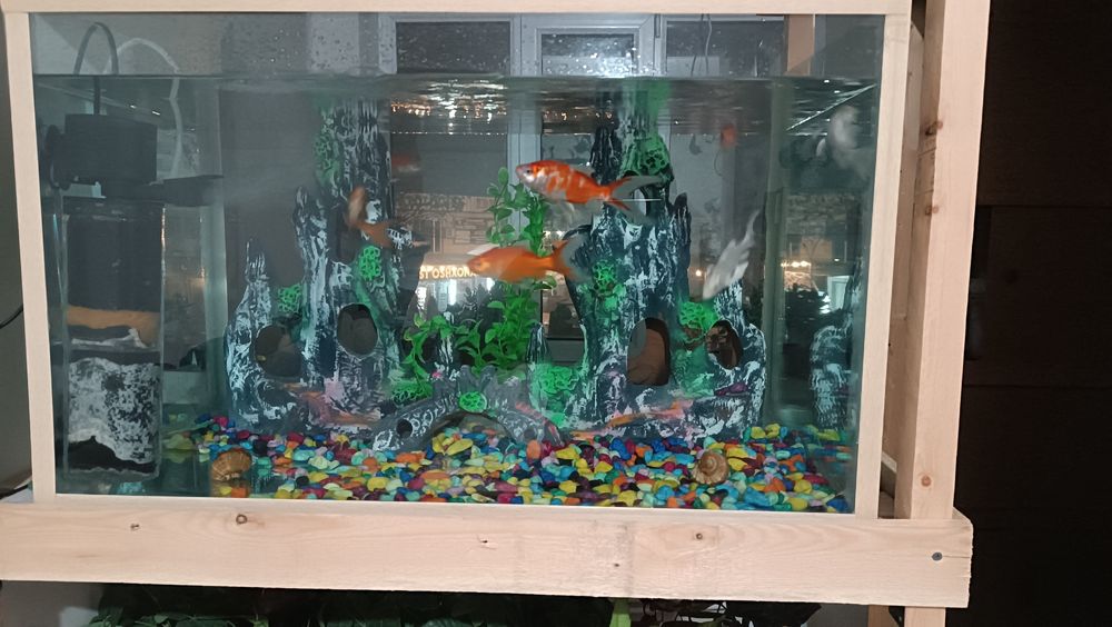 Аквариум баликлари