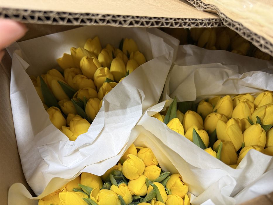 Тюльпаны Усть-Каменогорск