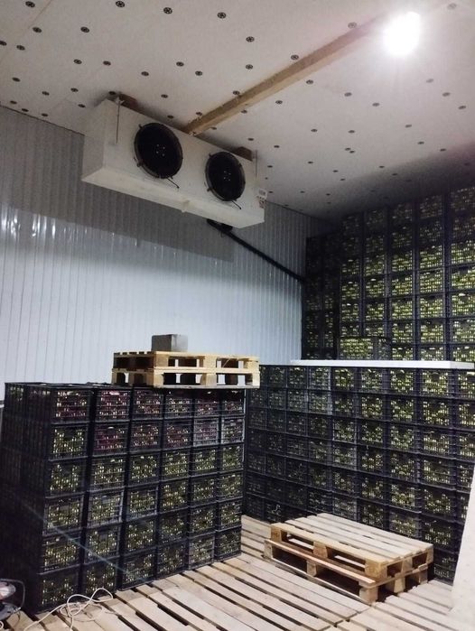 Ремонт холодильников и кондиционеров