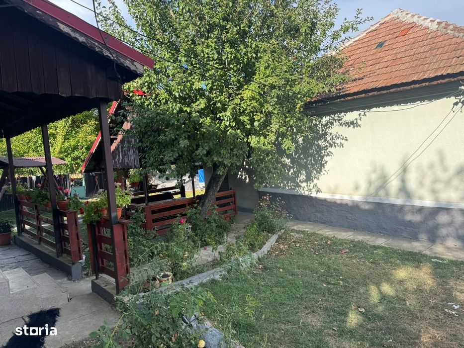 Proprietate cu Doua Case