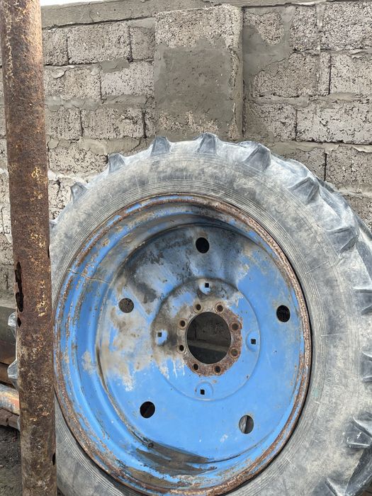 Соқа дау корпус