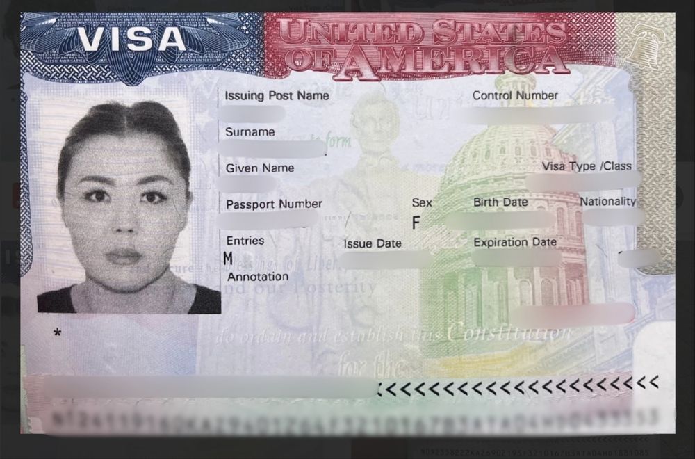 Виза в США B1 B2 F1
