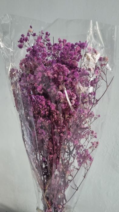 Сухоцветы / Гипсофилы букет