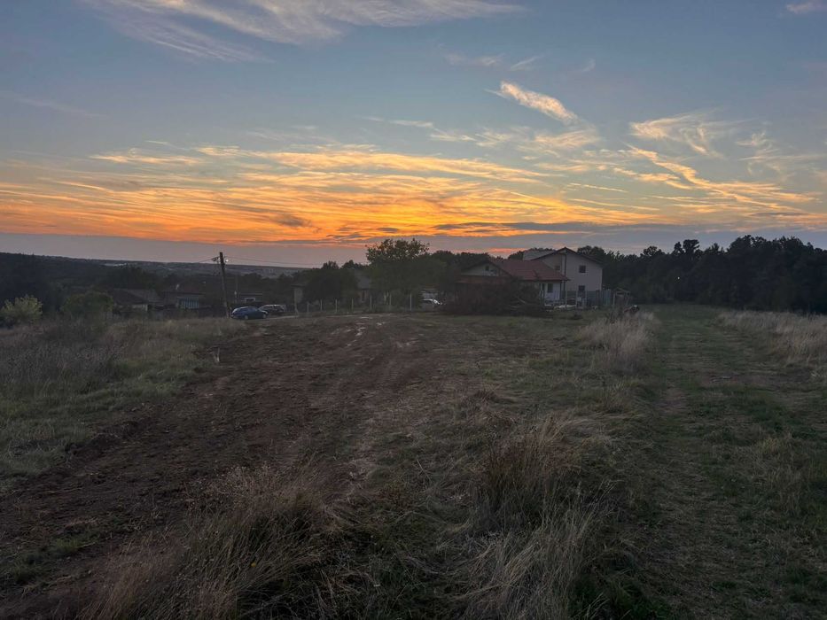 Vand teren intravilan in Betfia langa padure 1001 mp.