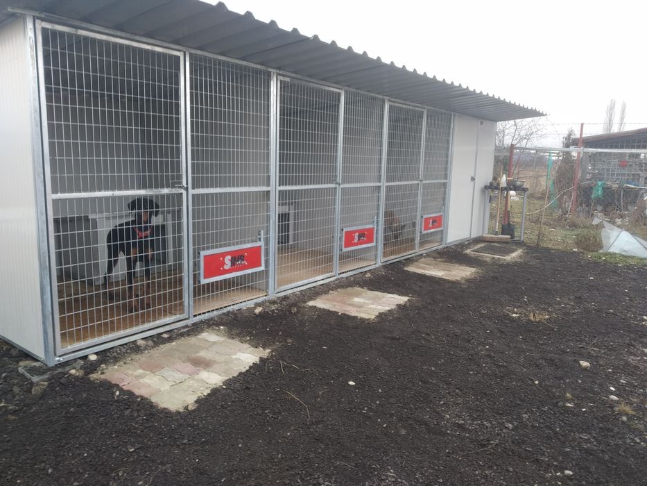 Dresaj canin Dogisland K9 Brașov